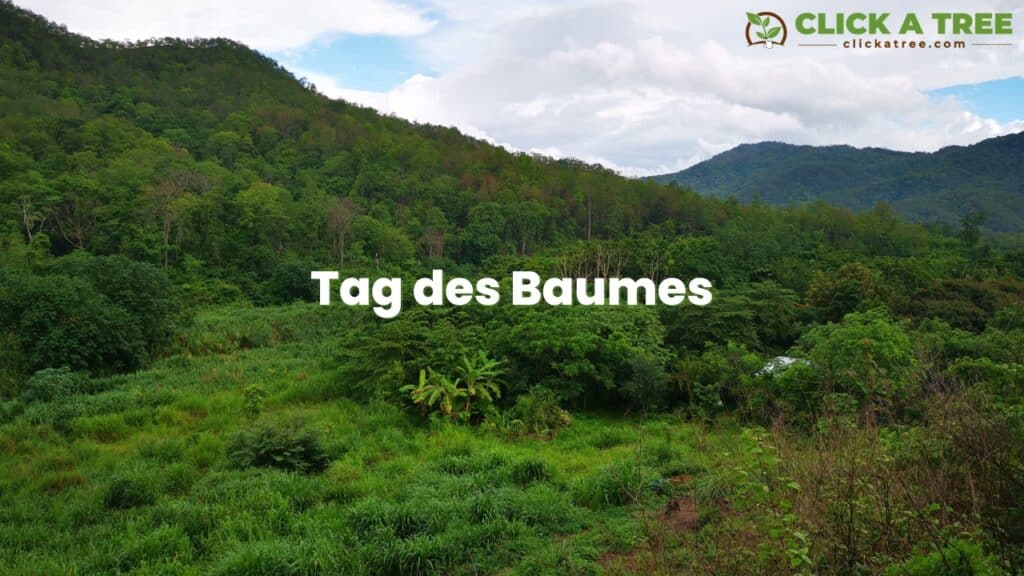 Tag des Baumes