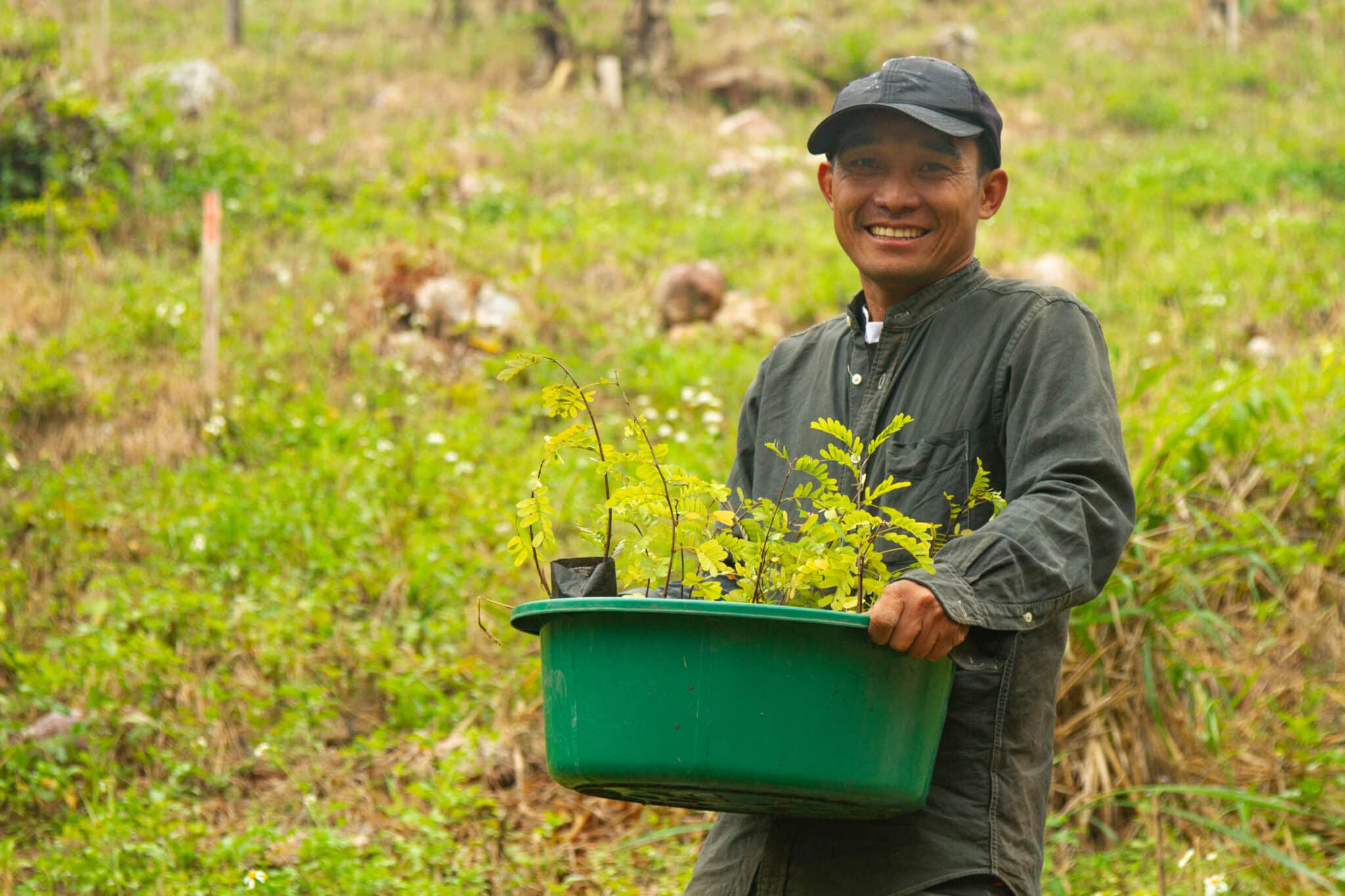 Click A Tree Reforesting Thailand (1)