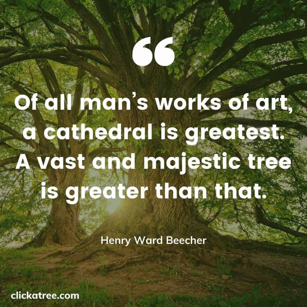 Click-A-Trees-most-Motivational-and-Inspirational-Tree-Quotes-about-Life-Business-and-Love-001