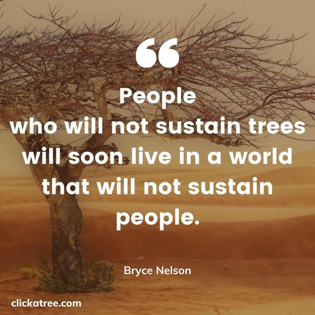 Click-A-Trees-most-Motivational-and-Inspirational-Tree-Quotes-about-Life-Business-and-Love-003