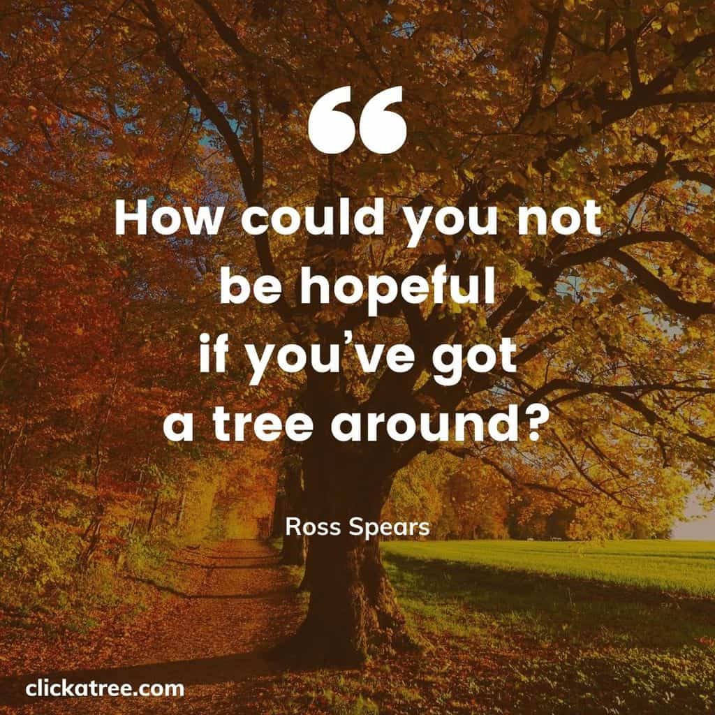 Click-A-Trees-most-Motivational-and-Inspirational-Tree-Quotes-about-Life-Business-and-Love-010