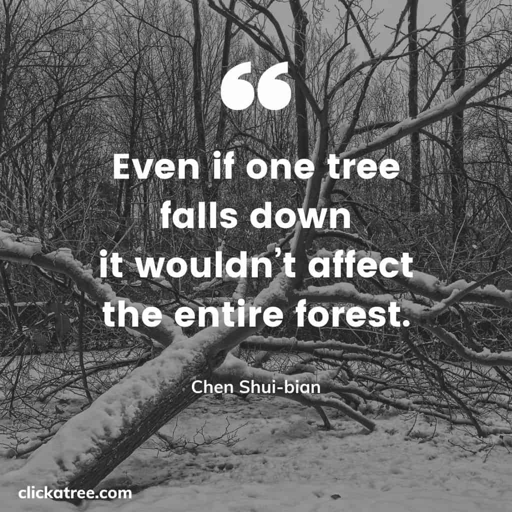 Click-A-Trees-most-Motivational-and-Inspirational-Tree-Quotes-about-Life-Business-and-Love-018