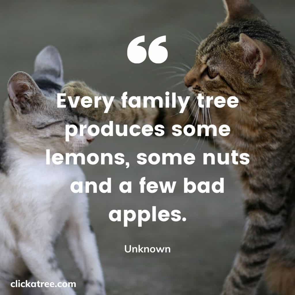 Funny-Tree-Quote-from-Unknown-Author