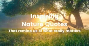 Inspiring Nature Quotes proverbs and sayings That remind us of what really matters Lead Image