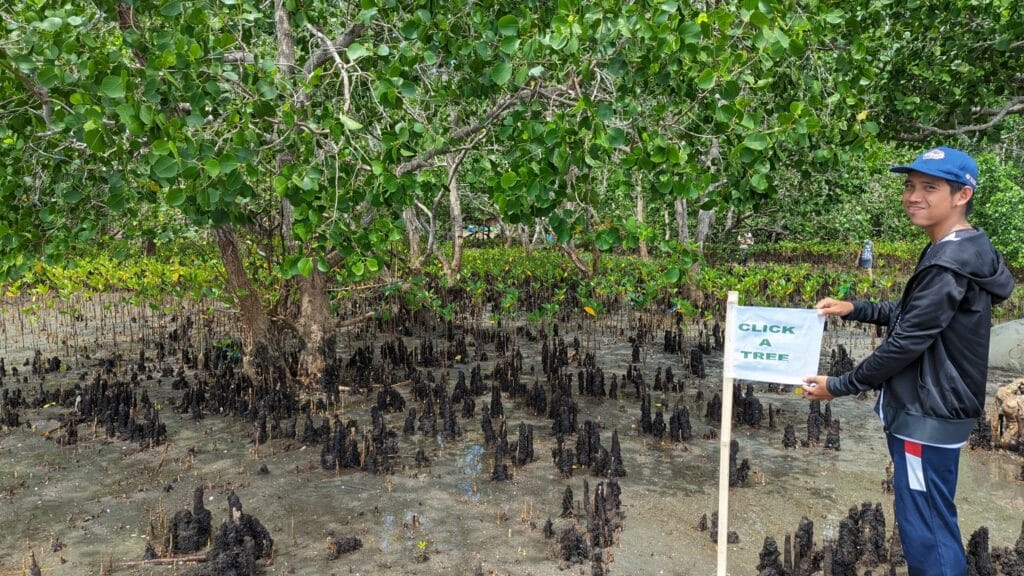 Ein junger Mann auf den Philippinen sthet zwischen Mangrovenbäumen und zeigt einen Click A Tree Wimpel