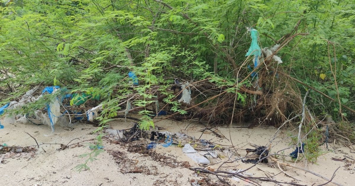 Meeresplastik sammeln auf den Philippinen Plastik am Strand