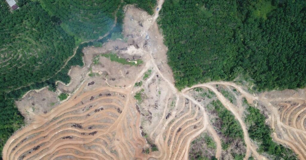 Mining is a massive driver of deforestation