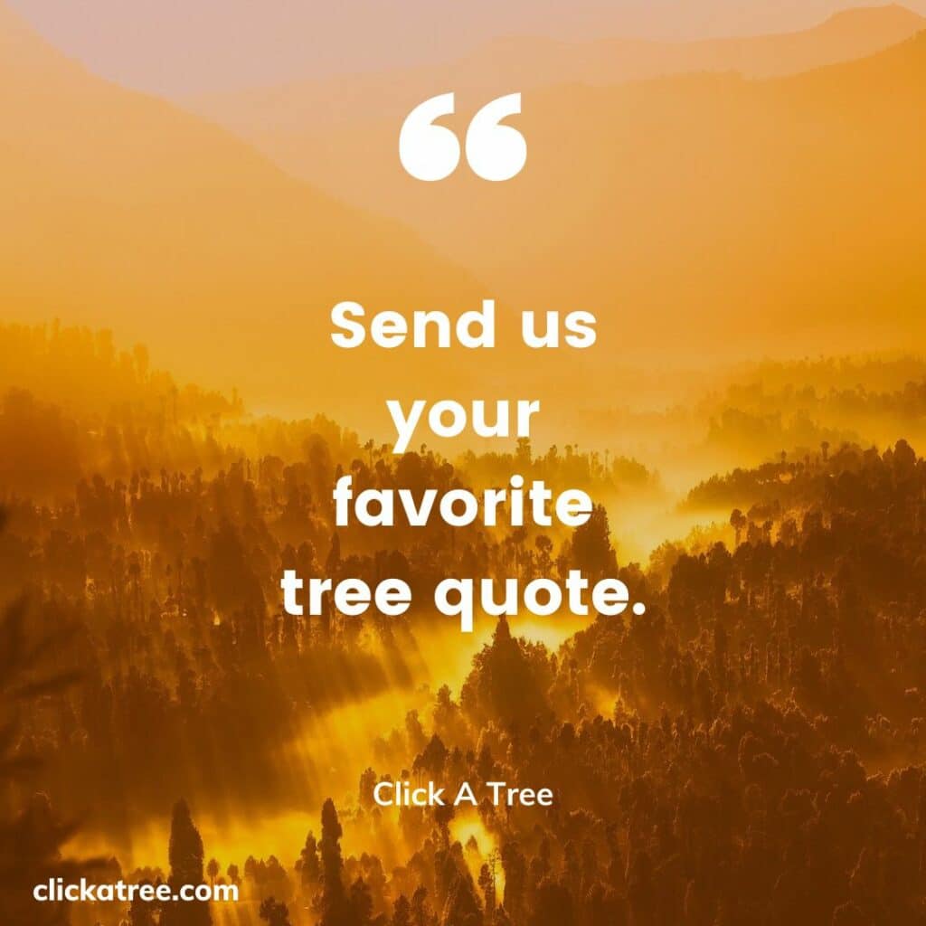 Share your favorite tree quote with Click A Tree