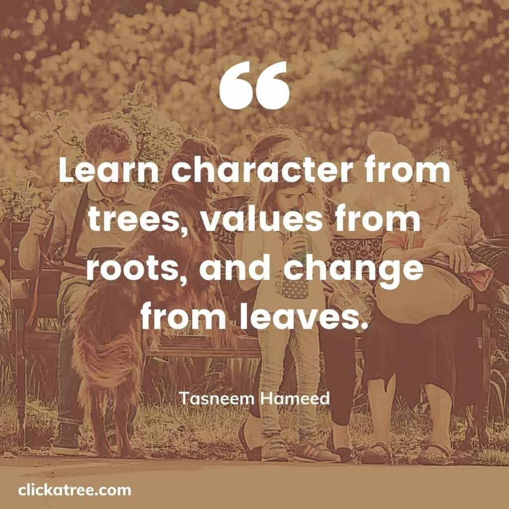 Tasneem-Hameeds-best-Tree-Quote-about-Family-Life