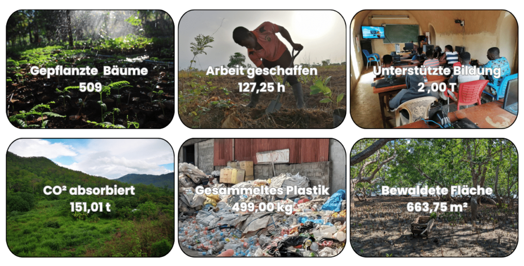 Dashboard des S-Point Sylt zeigt die Umwelt- und Sozialimpakte ihrer Baumpflanzungen: 509 gepflanzte Bäume, 127,25 Stunden geschaffene Arbeit, 2 Tonnen unterstützte Bildung, 151,01 Tonnen CO2 absorbiert, 499 kg gesammeltes Plastik, und 663,75 m² bewaldete Fläche. Die Bilder repräsentieren die vielfältigen Ergebnisse der Nachhaltigkeitsinitiativen des Bistros.